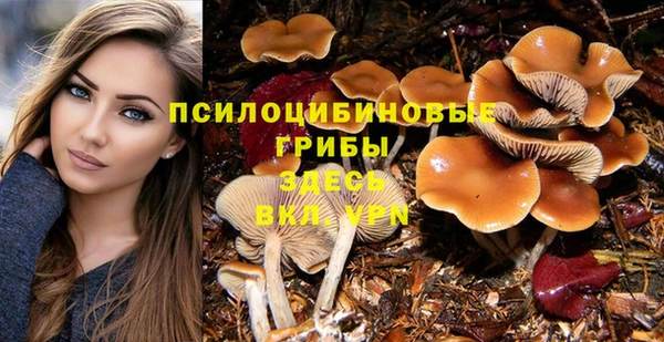 PSILOCYBIN Алзамай